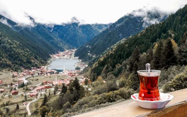 Taste-of-the-Himalayas-Tea