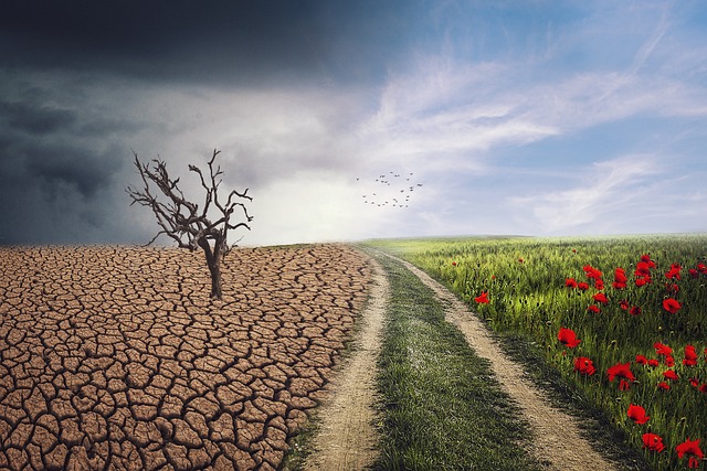 Climate Crisis