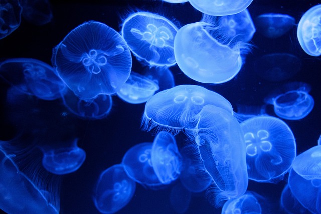 Ocean Acidification
