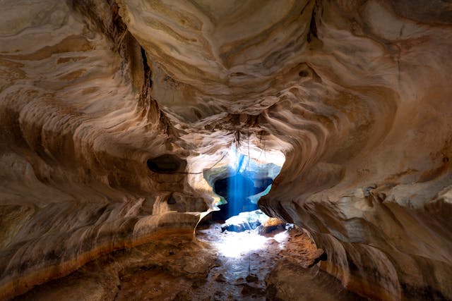 hidden world of life