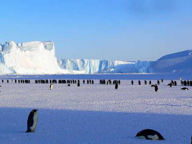 sudden Antarctic shift